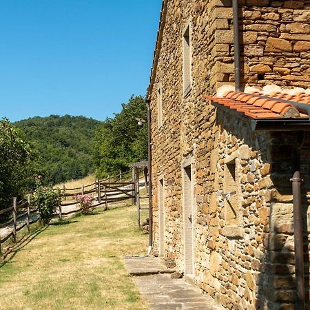 Agriturismo Con Piscina In Toscana, Tribbiano อาเรซโซ ภายนอก รูปภาพ