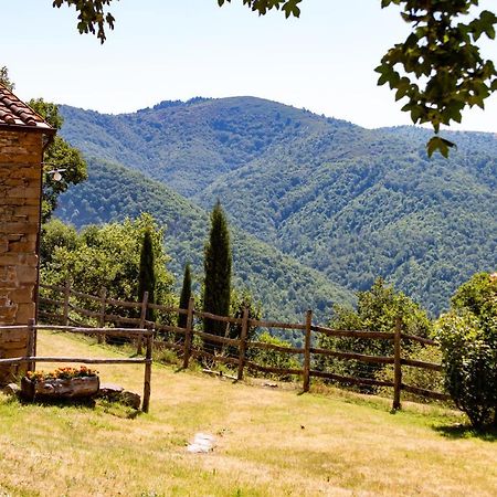 Agriturismo Con Piscina In Toscana, Tribbiano อาเรซโซ ภายนอก รูปภาพ