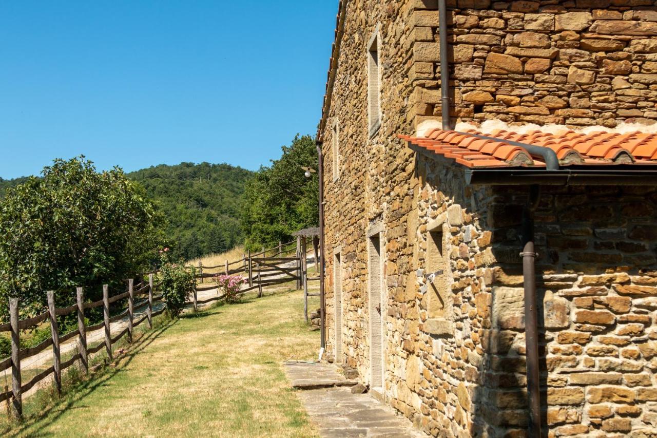 Agriturismo Con Piscina In Toscana, Tribbiano อาเรซโซ ภายนอก รูปภาพ