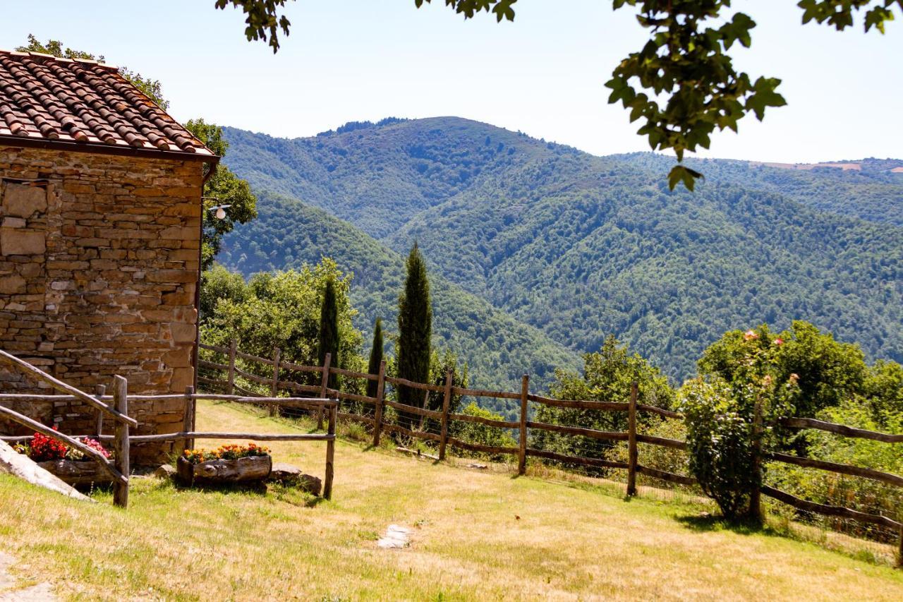 Agriturismo Con Piscina In Toscana, Tribbiano อาเรซโซ ภายนอก รูปภาพ