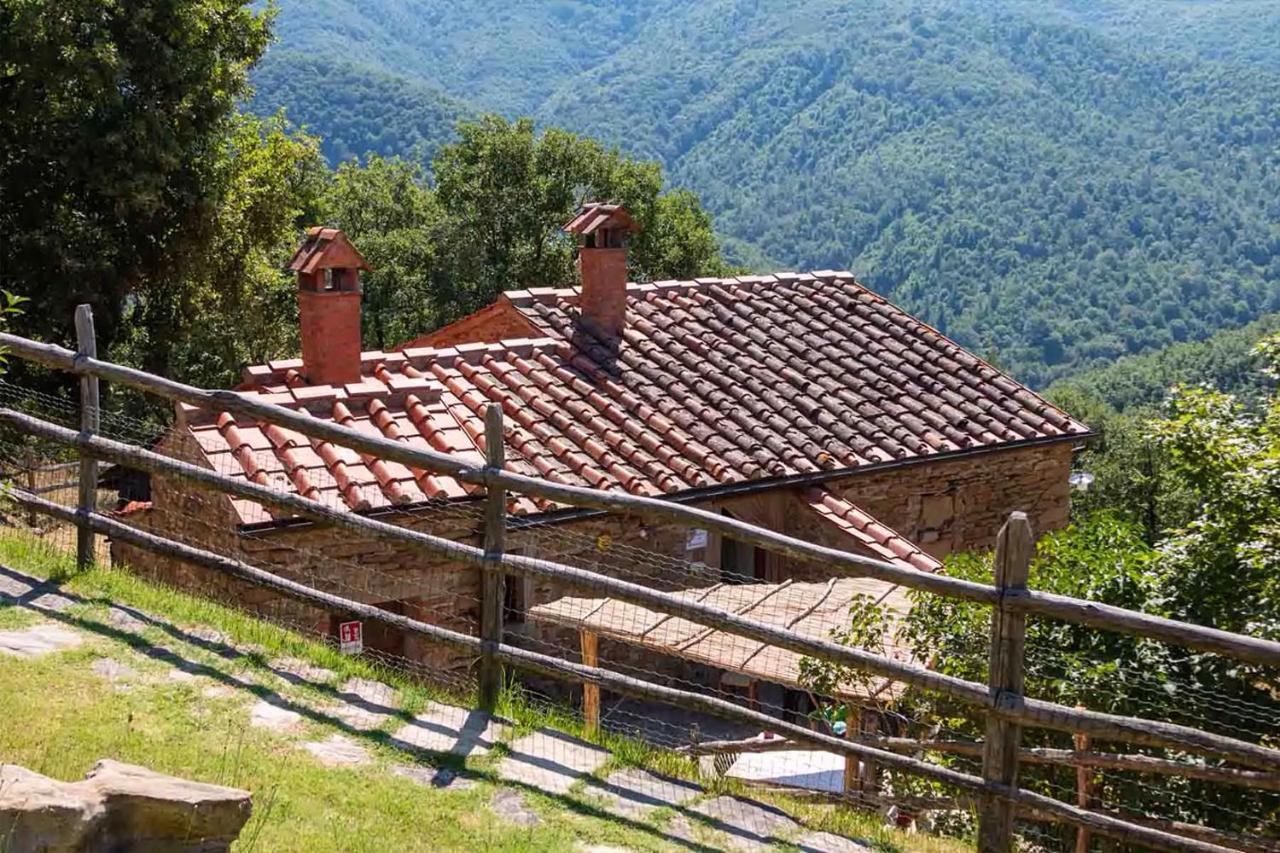 Agriturismo Con Piscina In Toscana, Tribbiano อาเรซโซ ภายนอก รูปภาพ