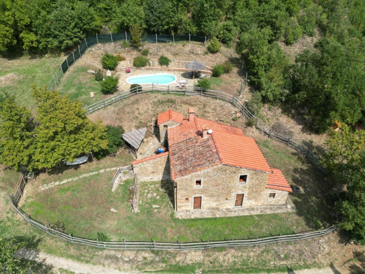 Agriturismo Con Piscina In Toscana, Tribbiano อาเรซโซ ภายนอก รูปภาพ
