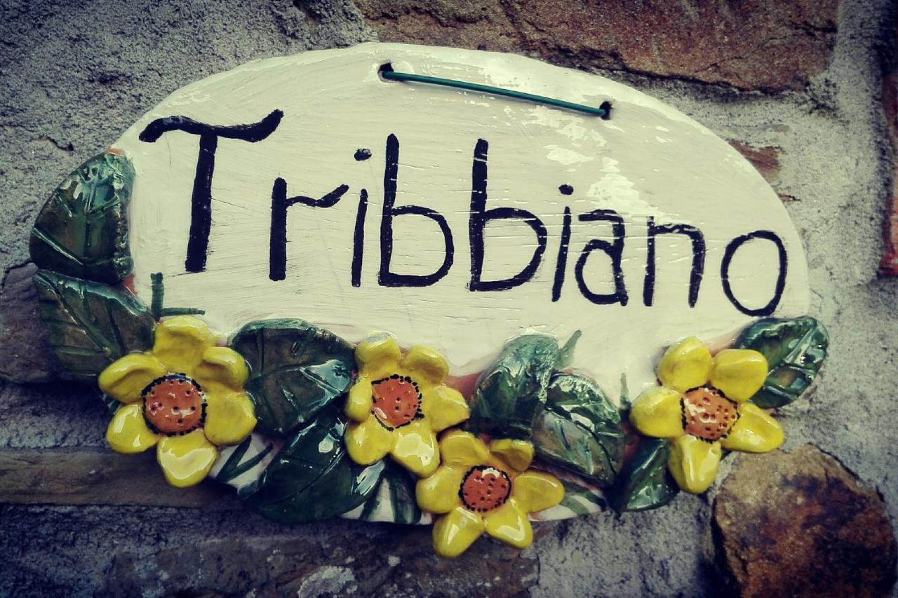 Agriturismo Con Piscina In Toscana, Tribbiano อาเรซโซ ภายนอก รูปภาพ